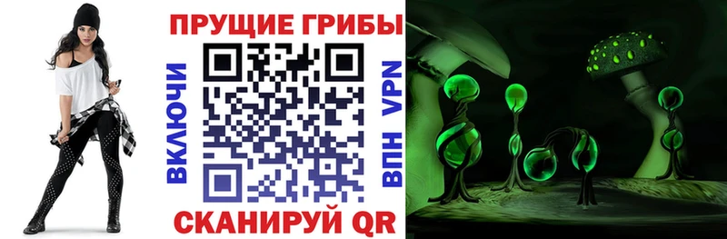 Галлюциногенные грибы Magic Shrooms кракен tor Одинцово