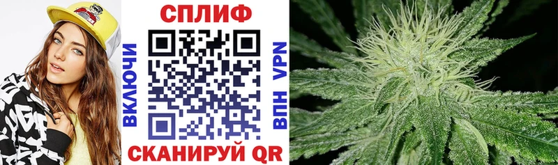 Марихуана Amnesia  Одинцово 